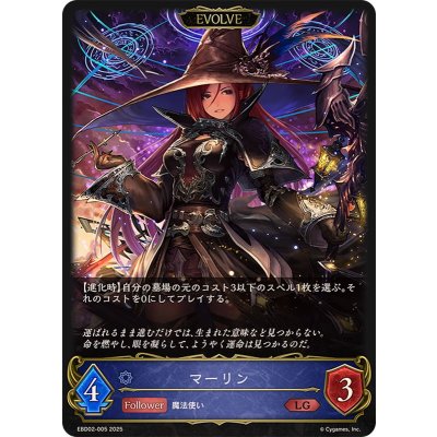 画像1: マーリン(EVOLVE)【LG】{EBD02-005}