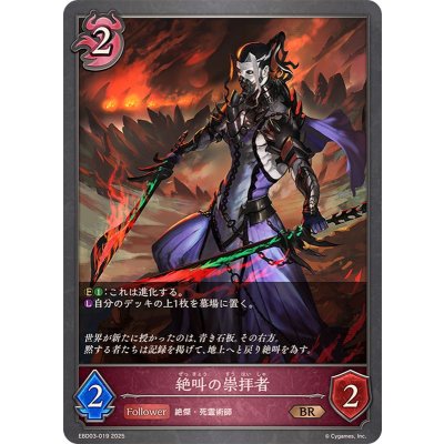 画像1: 絶叫の崇拝者【BR】{EBD03-019}