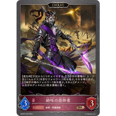 画像1: 絶叫の崇拝者(EVOLVE)【BR】{EBD03-020}