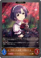 手折られぬ花 白菊ほたる(EVOLVE)【GR】{ECP02-045}