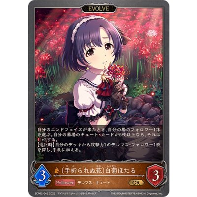 画像1: 手折られぬ花 白菊ほたる(EVOLVE)【GR】{ECP02-045}