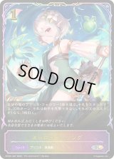 オーロラヒーリング(イラスト違い)【SL】{PCS01-007}《エルフ》