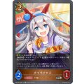 〔状態B〕タマモクロス【PR】{PR-037}