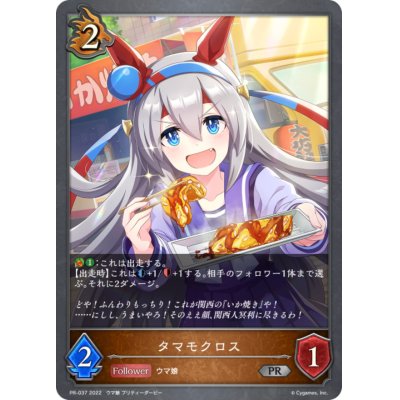 画像1: 〔状態A-〕タマモクロス【PR】{PR-037}