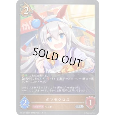 画像1: 〔状態A-〕タマモクロス【PR】{PR-037}《ドラゴン》