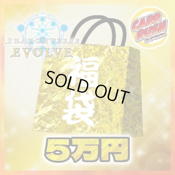 画像1: ★エボルヴ5万円福袋★【福袋】{-}《-》 (1)