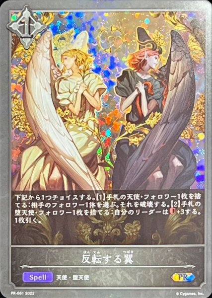 画像1: 〔状態A-〕反転する翼【PR】{PR-061} (1)