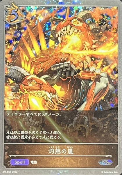 画像1: 〔状態A-〕灼熱の嵐【PR】{PR-057} (1)