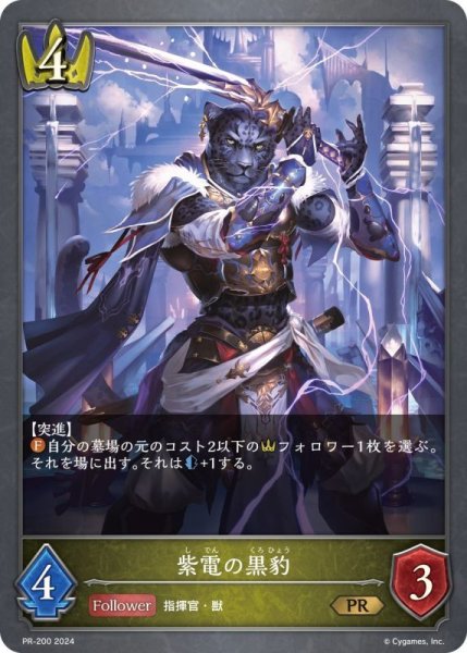 画像1: 〔状態A-〕紫電の黒豹【PR】{PR-200} (1)