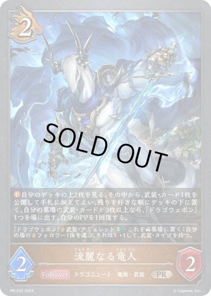 画像1: 〔状態B〕流麗なる竜人【PR】{PR-242} (1)