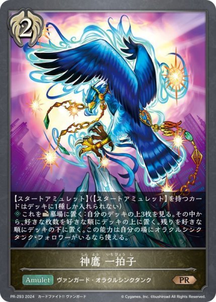 画像1: 〔状態B〕神鷹一拍子【PR】{PR-293} (1)