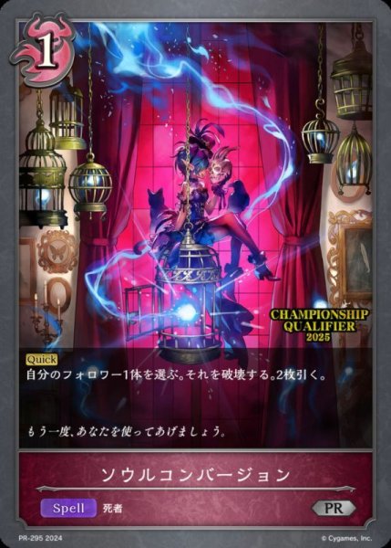 画像1: ソウルコンバージョン【PR】{PR-295} (1)