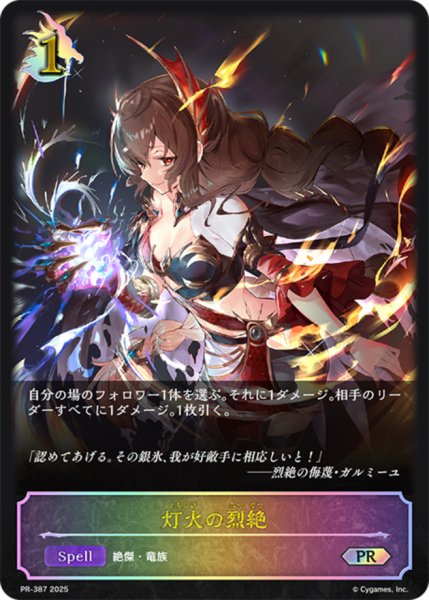 画像1: 灯火の烈絶【PR】{PR-387} (1)