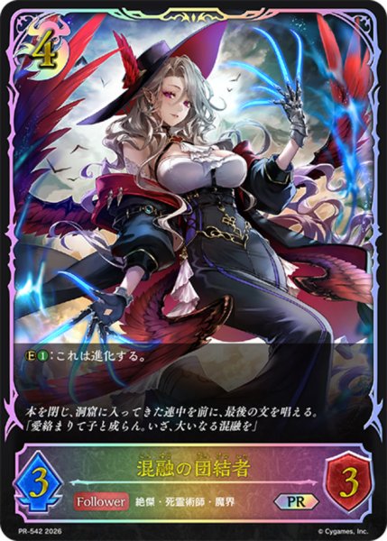 画像1: 混融の団結者(SL仕様)【PR】{PR-542}《ナイトメア》 (1)
