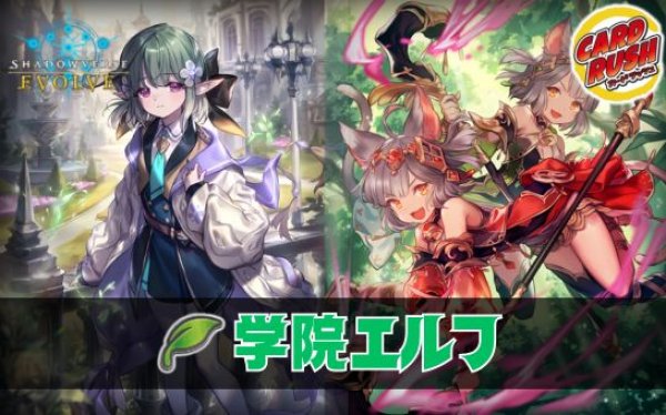画像1: 学院エルフデッキ【ver1.0】{-}《-》 (1)