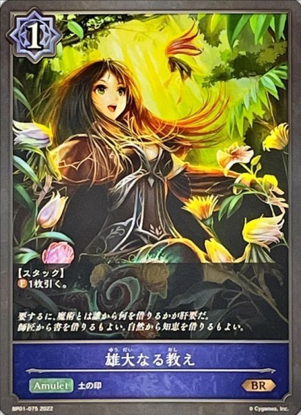 画像1: 〔状態A-〕雄大なる教え【BR】{BP01-075} (1)