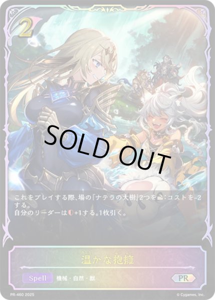 画像1: 〔状態A-〕温かな抱擁(イラスト違い)【PR】{PR-460} (1)