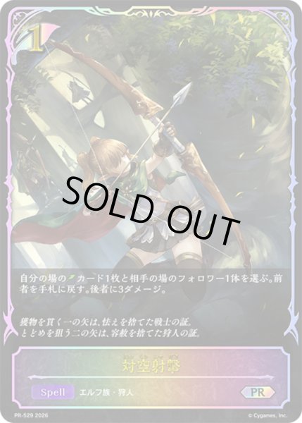 画像1: 〔状態B〕対空射撃(SL仕様)【PR】{PR-529}《エルフ》 (1)