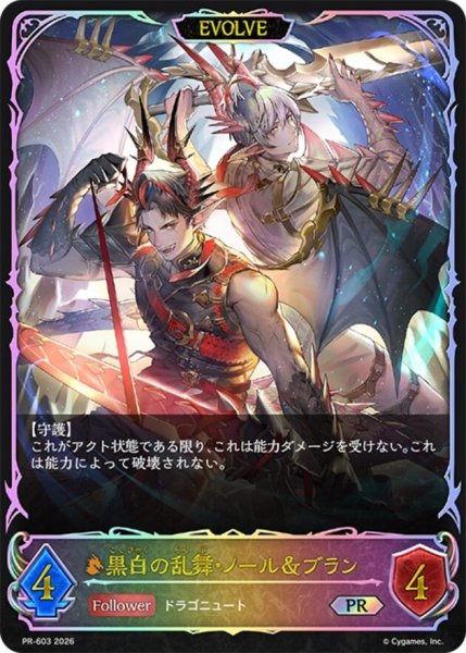画像1: 黒白の乱舞・ノール＆ブラン(EVOLVE/SL仕様)【PR】{PR-603}《ドラゴン》 (1)