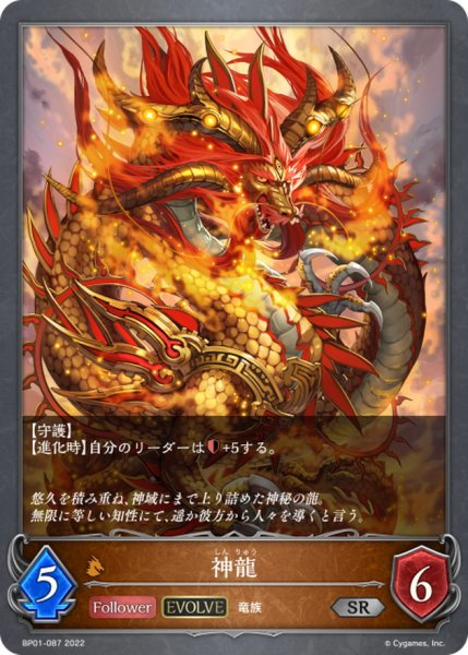 画像1: 神龍(EVOLVE)【SR】{BP01-087} (1)