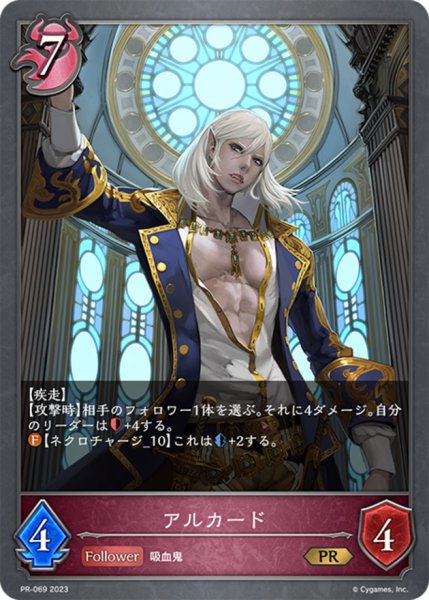 画像1: 〔状態B〕アルカード【PR】{PR-069} (1)