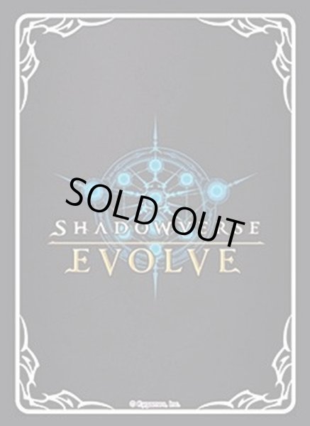 画像1: スリーブ『Vol.1 Shadowverse EVOLVE』【サプライ】{-} (1)