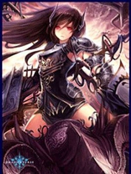 画像1: スリーブ『ダークドラグーン・フォルテ(MT279)』65枚【サプライ】{-}《-》 (1)