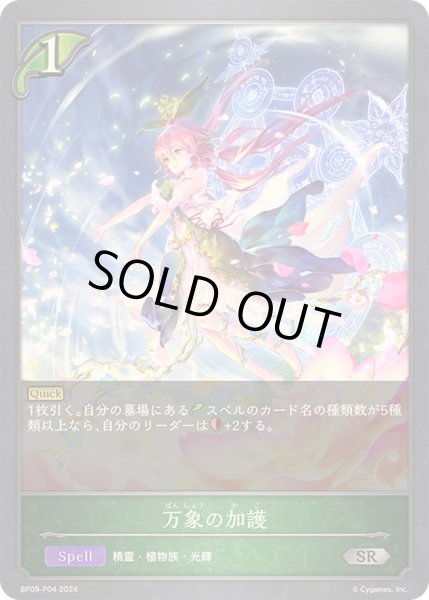 画像1: 〔状態B〕万象の加護【SR・プレミアム】{BP09-P04} (1)