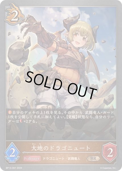 画像1: 〔状態A-〕大地のドラゴニュート【BR】{BP13-067}《ドラゴン》 (1)