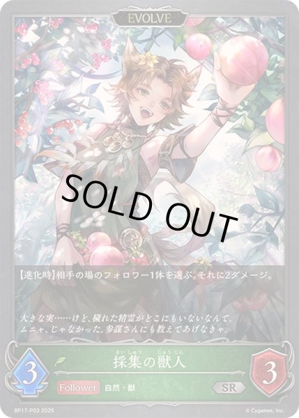 画像1: 採集の獣人(EVOLVE)【SR・プレミアム】{BP17-P03}《エルフ》 (1)