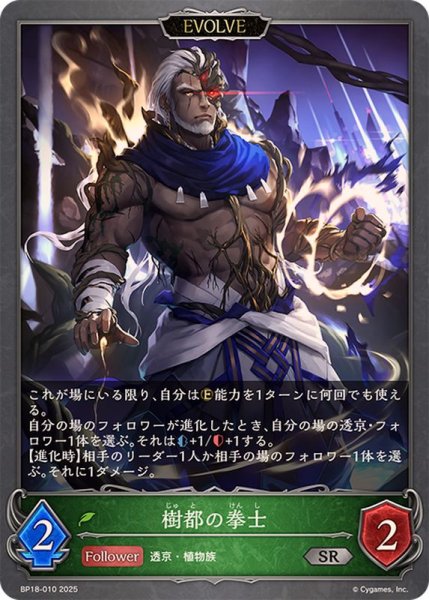 画像1: 樹都の拳士(EVOLVE)【SR】{BP18-010}《エルフ》 (1)