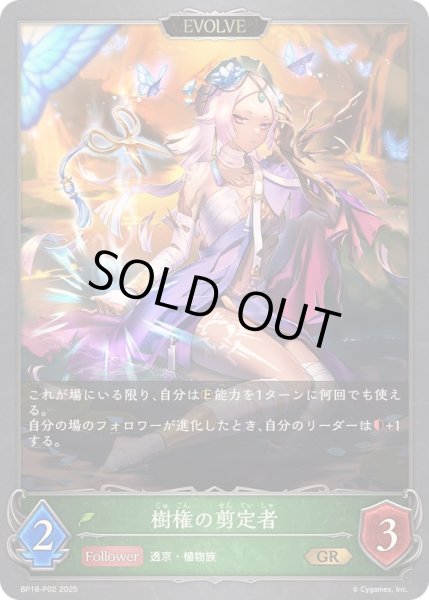 画像1: 〔状態A-〕樹権の剪定者(EVOLVE)【GR・プレミアム】{BP18-P02}《エルフ》 (1)