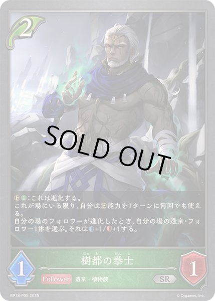 画像1: 樹都の拳士【SR・プレミアム】{BP18-P05}《エルフ》 (1)