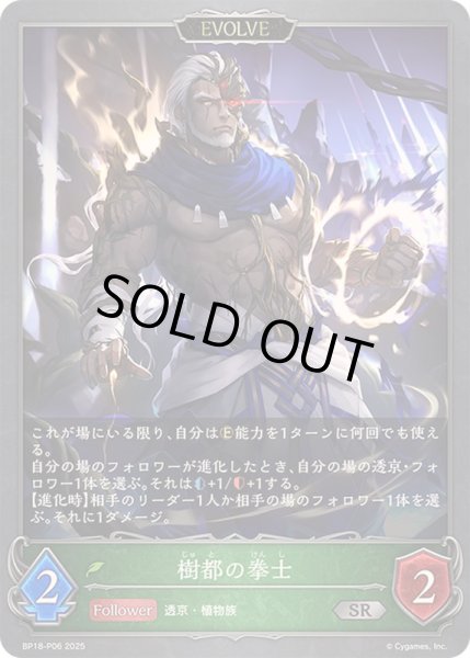 画像1: 〔状態A-〕樹都の拳士(EVOLVE)【SR・プレミアム】{BP18-P06}《エルフ》 (1)