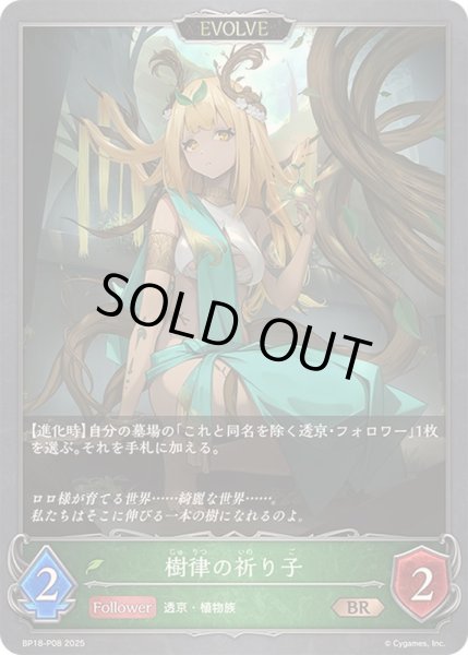画像1: 〔状態A-〕樹律の祈り子(EVOLVE)【BR・プレミアム】{BP18-P08}《エルフ》 (1)