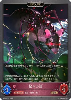 シャドウバースエボルヴ Shadowverse EVOLVE スペシャルスターターセット 2025 | PRODUCTS