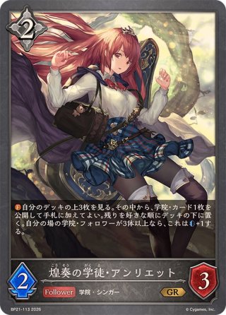 シャドウバースエボルヴ デッドペナルティ SL仕様 プロモ PR 2枚セット カードラッシュ】シャドウバース エボルヴが日本最安級の通販サイト
