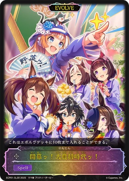 画像1: 〔状態A-〕開幕ッ！大農耕時代ッ！【SL】{ECP01-SL30} (1)