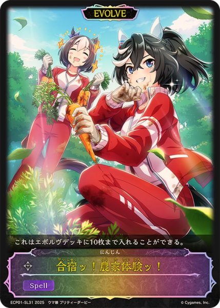 画像1: 〔状態A-〕合宿ッ！農家体験ッ！【SL】{ECP01-SL31} (1)