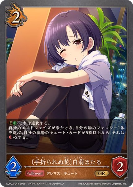 画像1: 手折られぬ花 白菊ほたる【GR】{ECP02-044} (1)